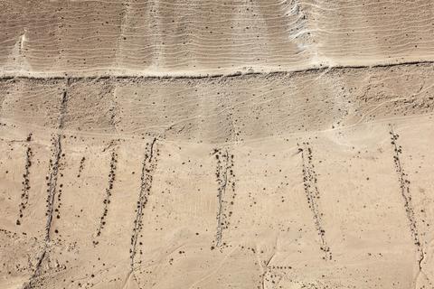 Fazal Sheikh, LATITUDE: 30°45'60"N / LONGITUDE: 34°47'31"E, October 9, 2011. Garden perimeter wall and irrigation channels along a steep ridge in the vicinity of the ancient city of Ovdat/ʽAbdāt (Heb./Arabic). The upper line of rocks forms the outer wall of the garden and also serves as a footpath above which can be seen the faint trails left by Bedouin pastoral herds. Rainwater is channeled along the descending lines of rock to the garden within the streambed, each small walled section retaining its own water to minimize runoff. The faint lines that run parallel to the upper wall are traces left by herds of animals moving over the terrain. These walled gardens enhance water retention in an area of extremely low precipitation, as well as demarcating boundaries of ownership. This garden, measuring more than a kilometer in length and a quarter of that distance at its widest point, winds along the base of a hillside., from the series Desert Bloom, 2011