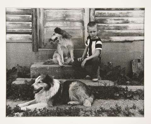 Ralph Eugene Meatyard, Untitled [boy with collies], n.d.