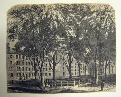 Unknown, Trumbull Gallery View of Yale College, ca. 1868