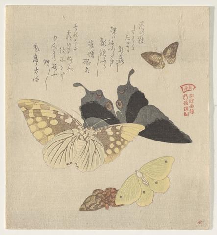 Kubo Shunman, The Painting Manual of Flock of Butterflies (Gunchō Gafu), 1810s