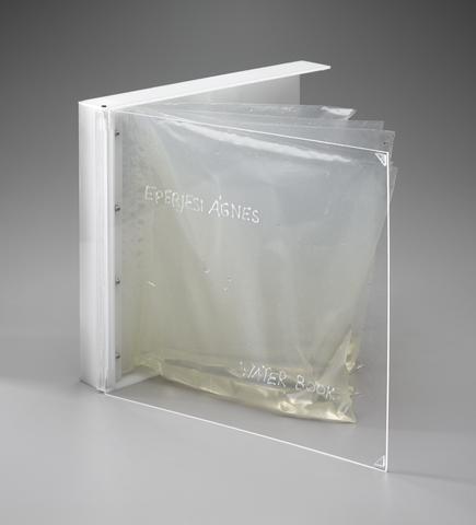Agnes Eperjesi, Water Book, 2006